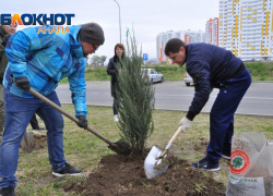 Спасать озеленение Анапы возьмется «Зеленстрой»