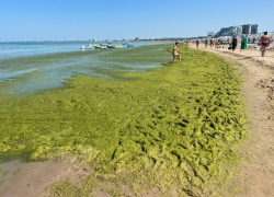  После шторма в море у берегов Анапы появилась зелёная жижа
