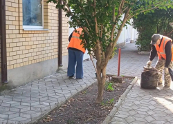 В Анапе моют остановки и тротуары и вывозят опавшую листву