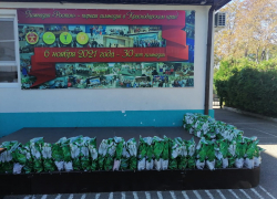 Ученики гимназии "Росток" в Анапе собрали продуктовые наборы для пожилых людей