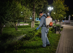 В Анапе и сельских округах обработают общественные территории от клещей