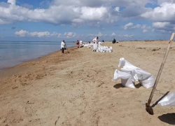 Эксперты оценили влияние нового нефтяного пятна на туристический сезон в Анапе