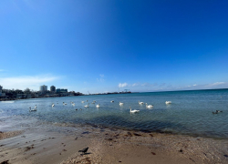 Гороскоп для анапчан с 10 по 16 апреля: Весам не стоит сравнивать себя с другими