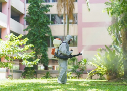 В Анапе на обработку города от клещей выделили 1 млн рублей