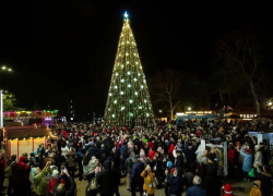 Ёлки и новогодний кот: Анапа готовится к встрече 2023 года