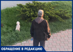 «Корона не упадет»: анапчанка просит убирать за своими питомцами 