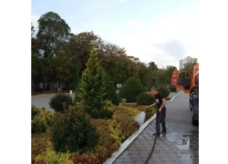 Анапа в цветах: 160 тысяч летних растений и подготовка к зимнему озеленению