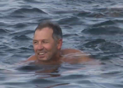 У берегов Анапы плавают около 20 моржей