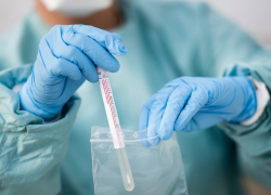 На Кубани в 9 муниципалитетах действуют 18 обсерваторов. Два в Анапе