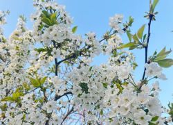 Сколько майских выходных ожидают анапчан в 2023 году