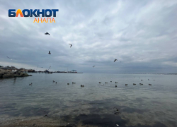 День рождения резиновых калош в Анапе будет сильный дождь