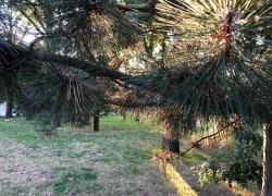 В День рождения комсомола в Анапе по-прежнему тепло