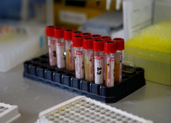 COVID-19: в крае 1 человек умер и 45 новых заразившихся. В Анапе новых заболевших нет