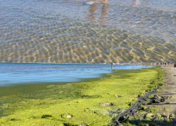 Шикарное море: в Анапе туристы продолжают отгуливать свой отпуск