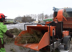 Стало известно, куда можно сдать ёлку на переработку в Анапе