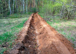 Чтобы не повторилась трагедия «Утриша»: в Анапе создадут минерализованные полосы