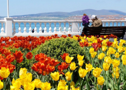  Анапа вошла в топ-10 городов для путешествий на 8 Марта