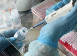  Анапчане смогут сдать анализ на наличие коронавируса в Новороссийске