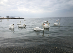 Во Всемирный день историка в Анапе ожидается сильный дождь