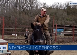 Ветераны СВО из Анапы проходят лечебные конные прогулки в Сукко