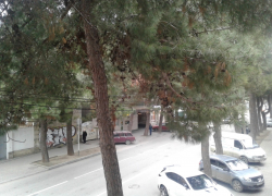 В праздник хорошего настроения в Анапе будет пасмурно 