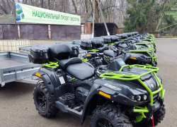 В Анапе снимут запрет на посещение лесов 