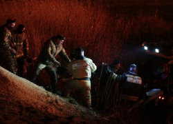 Пожар в Анапских плавнях ликвидировали 