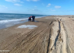 Появились новые данные мониторинга пляжей Анапы 