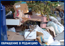 «Опасный рассадник грызунов»: анапчанка о свалке мусора на улице Ленинградской