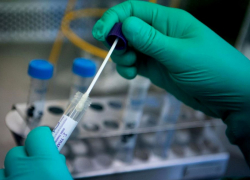 За сутки в 30 муниципалитетах Кубани выявлено 87 больных COVID-19. В Анапе - нет