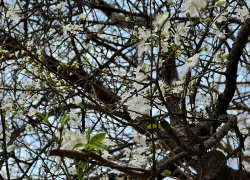 В День ящиков и коробочек в Анапе, в основном, пасмурно