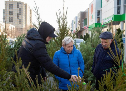 В Анапе будут работать 15 ёлочных базаров