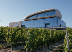 Анапский «Скалистый берег» объявлен лучшей винодельней года России