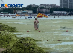 «Туристы против камки»: как выглядит другая часть Центрального пляжа Анапы