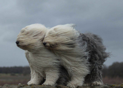 В выходные Анапу накроет сильный ветер