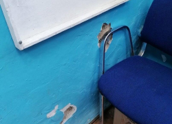 "Это сарай": анапчане об отделении "Почты России" в Суворов-Черкесском