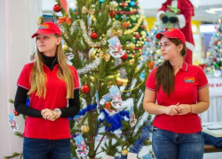 Анапские добровольцы отмечают свой праздник