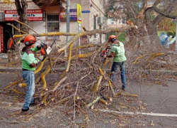 Городские службы Анапы экстренно устраняют последствия урагана