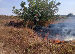 В поселке под Анапой снова горела сухая трава