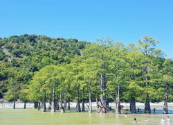 Кипарисовое озеро и Утришский заповедник в Анапе могут стать платными для посещения