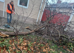Последствия ливня и сильного ветра устраняют в Анапе