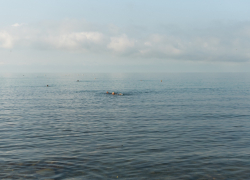 В день полёта на воздушном шаре в Анапе целый день будет лить дождь