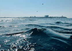 Главное – здоровье: на старте бархатного сезона Анапа оправдывает звание здравницы