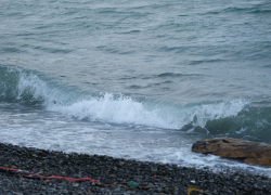 Гороскоп для анапчан с 5 по 11 июня: Весы могут получить неожиданную помощь