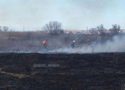 В Анапской загорелось поле: к месту пожара прибыли спасатели