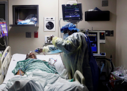 Дельта-штамм атакует: в Анапе 13 новых случаев COVID-19, в крае 262