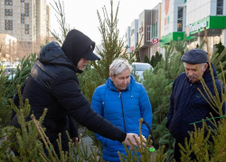 Анапчанам рассказали, что делать с ёлкой после новогодних праздников