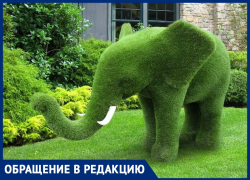 Надежда Огай предлагает создать в Анапе парк с "живыми" зелёными скульптурами