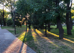 В день гадания на кофейной гуще в Анапе ожидается ясная погода