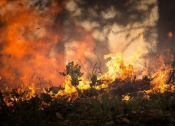 Пожар под Анапой тушили 13 человек: была реальная угроза жилым домам
